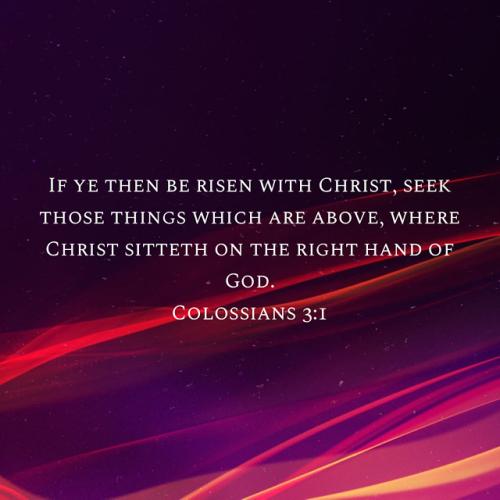 B2A1C764-E39B-40A0-9958-0A601C439BF9