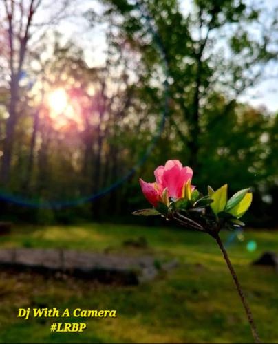 Screenshot_20250816_082225_Gallery