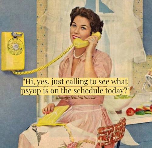 photo_2025-09-17_13-50-26