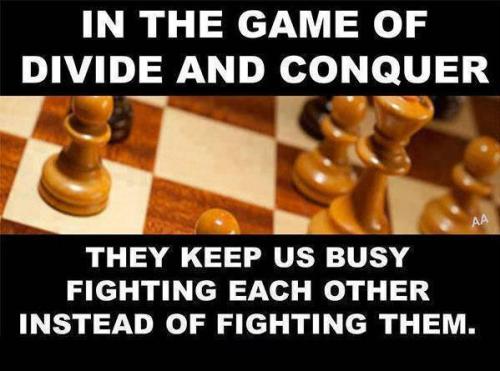 1505022_10152913442700942_636905351_n