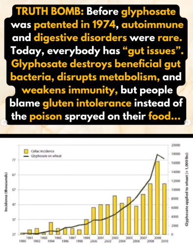 Screenshot 2025-09-14 155623