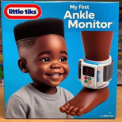 ankle monitor