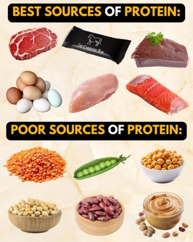 8e420720-8350-446f-985a-ebe24f2efe28