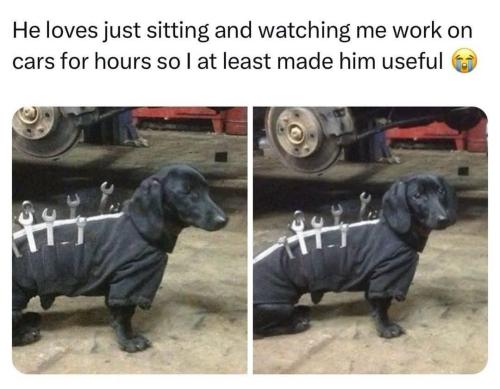 FB_IMG_1756866572772