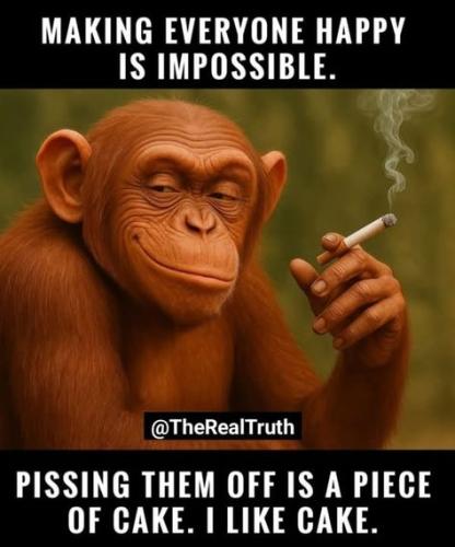 0f8c28a84a905cf45430fa0e3c575dbf