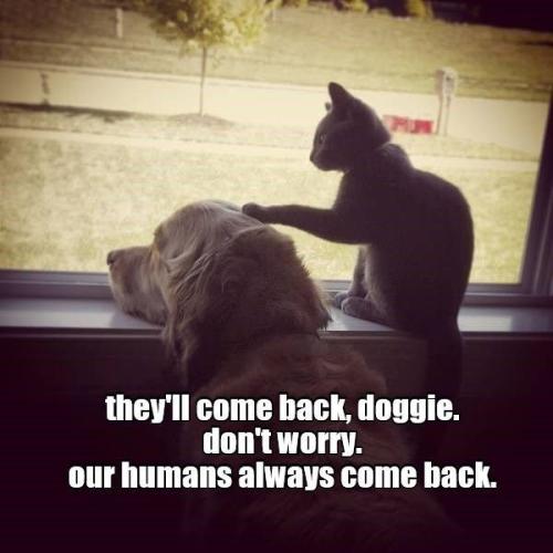 9bbf64e6366db1e7123fceafef12c04c