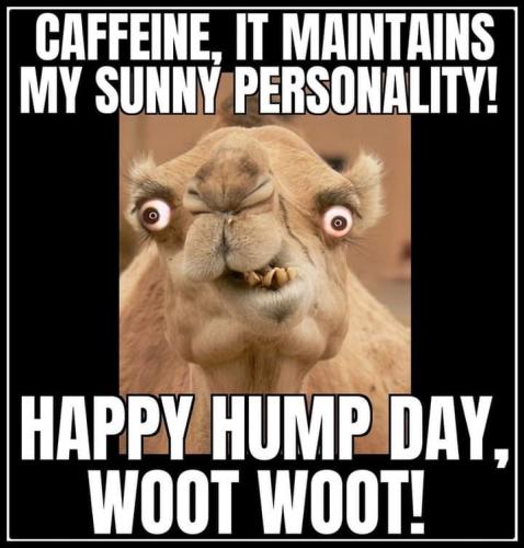 1-Hump Day
