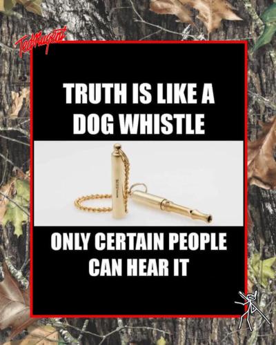 IMG_20250915_215429_364