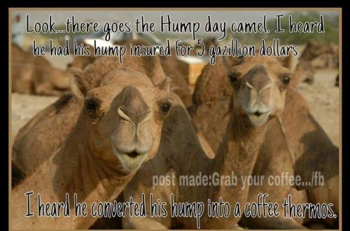 Screenshot_20250903_064428_Gallery