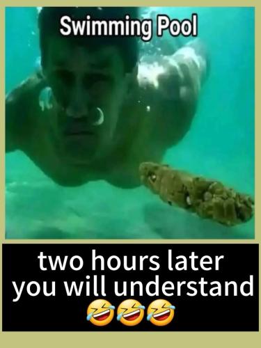 1E72B7AA-2186-402A-878F-C1827D9D36F7