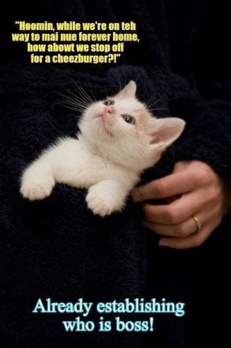 0ae7f4e6f44d800d9f05a617335da77f