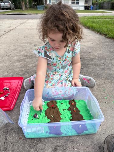 E6F510DC-2954-4A48-92EB-1FDFD091ED89