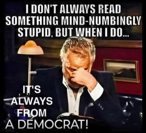 mind-numbingly-stupid