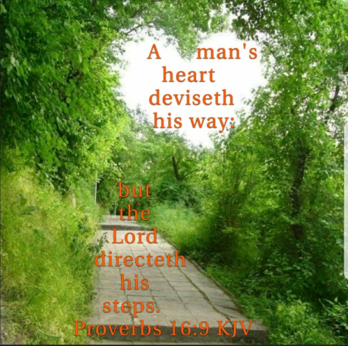 Screenshot_20250915-190858-443