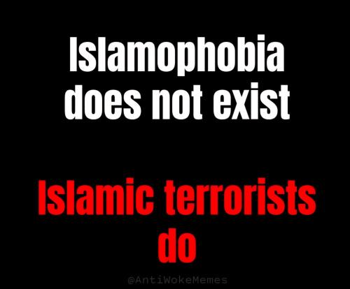 Screenshot_20250915_041149_X