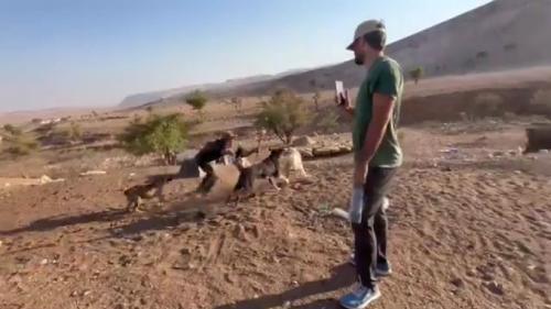 G1vC0kraAAIoVYh