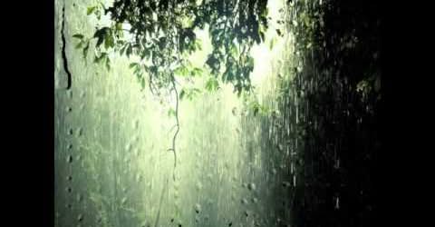 ,     ,     0 422270626_34196917537