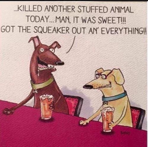 e07ba75d1a3df989ee0b521e481f7fd5