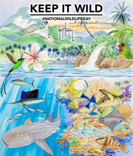 National Wildlife Day Sept 4th