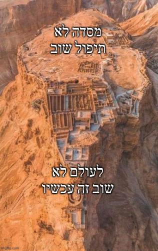 masada shall not fall never again is now