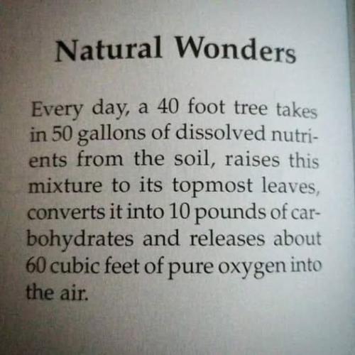 ,          ,  0424775766_746362