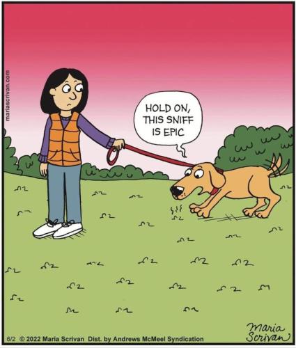 b490803ba9aa415bc01c80daed6d4c29