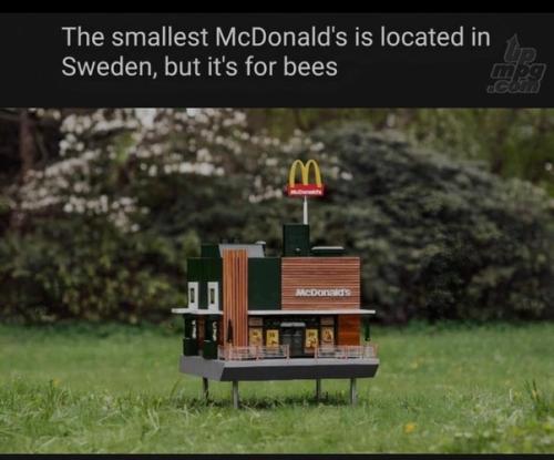 main-qimg-7a56f666cca998299a98ad231c1d04c3