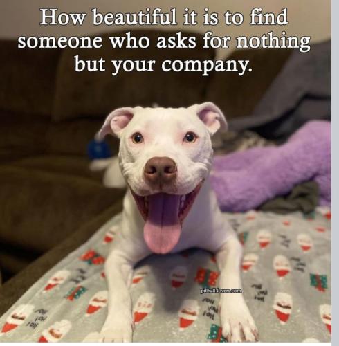 4aa54d76dcae2f2c0ae88540faff3527