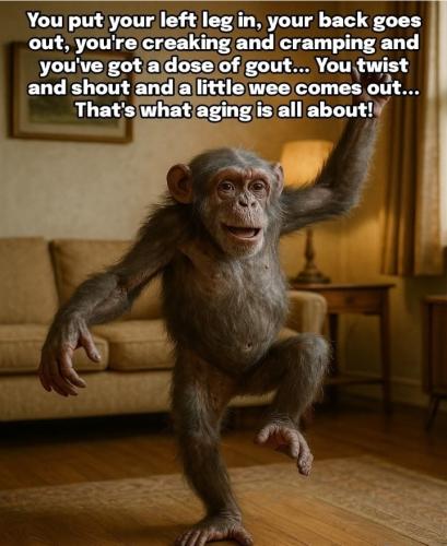 Screenshot_20250904_142317_Gallery