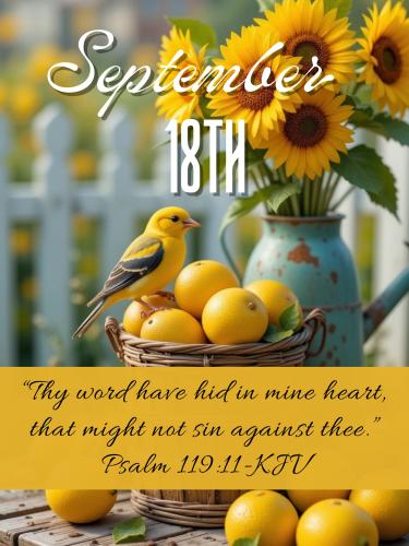 548713940_808017131732635_6334251346739852424_n