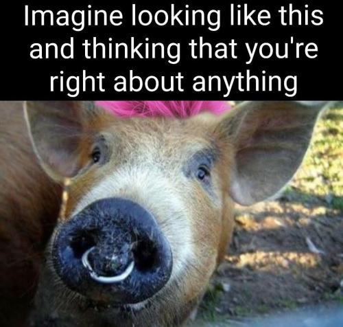 550808995_1848682849420392_1363703878687291664_n