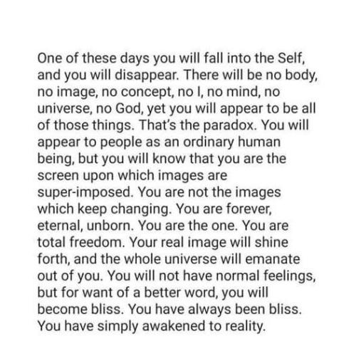 ,         418235313_73391130547