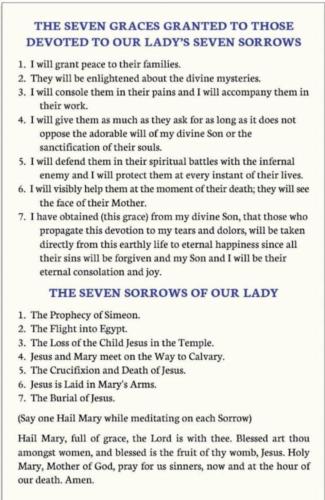 FB_IMG_1756748066070