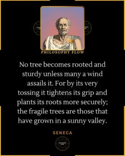 Seneca 6