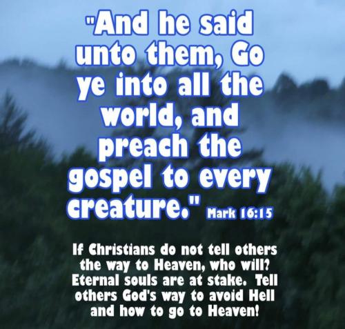 b00c637f-b208-4a23-b078-a3143cb16b23