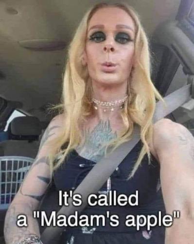 178ad0f4-548d-42be-b477-8880c2f7a8f6