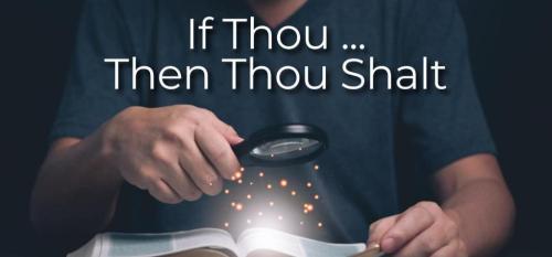 d9723295-71c6-4bf3-9d14-6d82522b2d0e