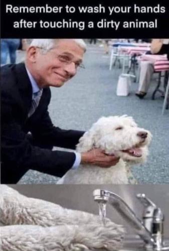 5dab5b968d0d3c54d4a30f6aa4c3926f