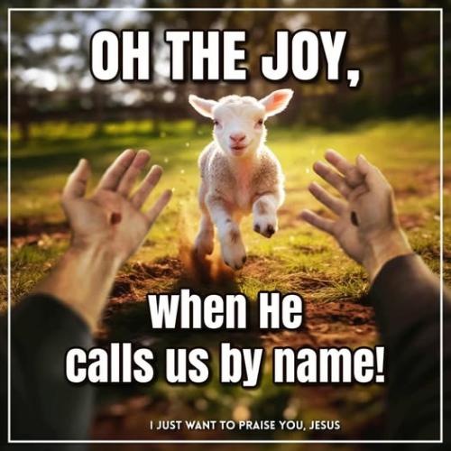 541632623_10173376905095151_3084283307334952981_n