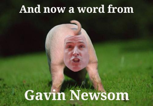 pignewscum