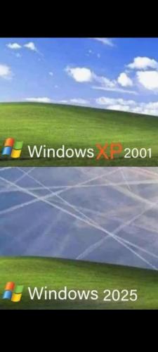 windows 2025