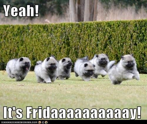 yeah-its-fridaaaaaaaaaay