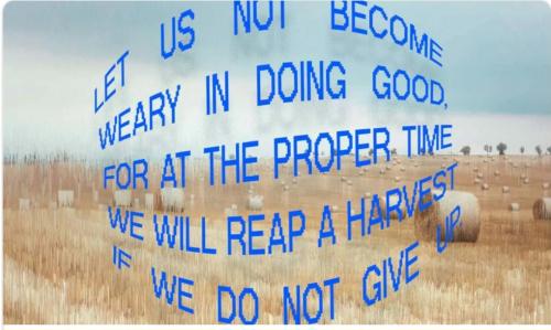 Screenshot_20250915_221903_Brave