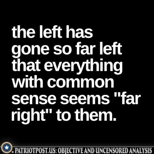 01K56RJ1M86RXHN1J4X79R6QHF