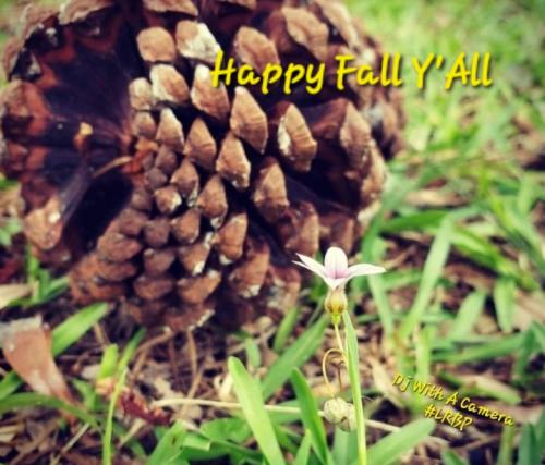 Screenshot_20250922_065717_Gallery