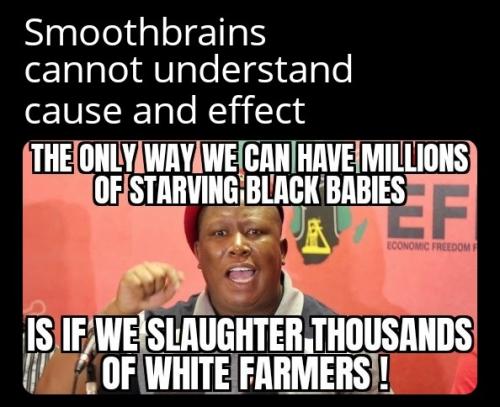 ZomboMeme 23052025220943