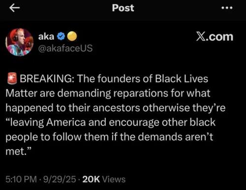 blm-leave-america