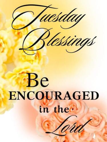 556121379_817616477439367_9023977657772379928_n