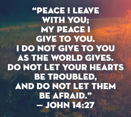 Screenshot_20250902-202449-846