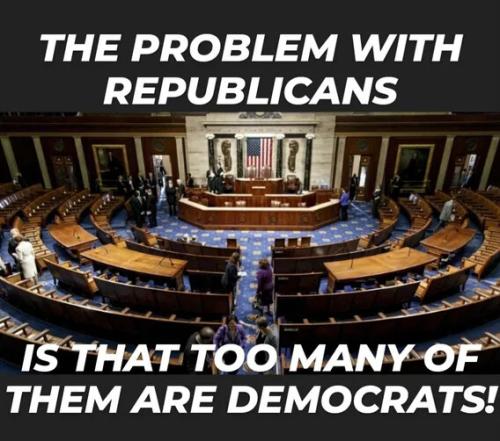 problem-with-republicas